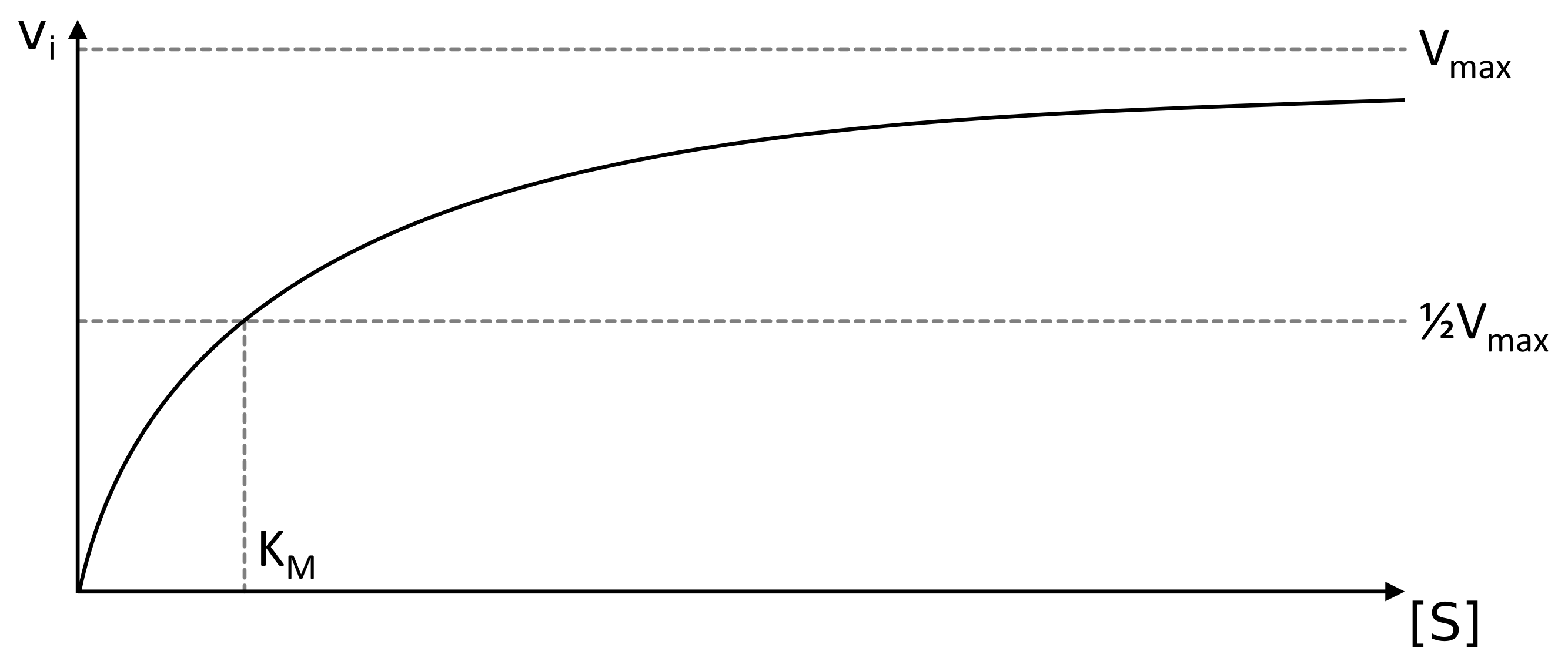 La cinétique des enzymes michaeliennes et l'équation de MichaelisMenten La cinétique des enzymes michaeliennes et l'équation de MichaelisMenten
